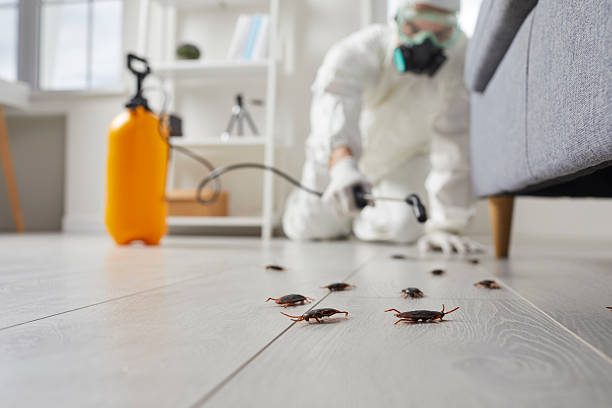 Post-Treatment Bed Bug Interceptor Monitoring in Mondovi