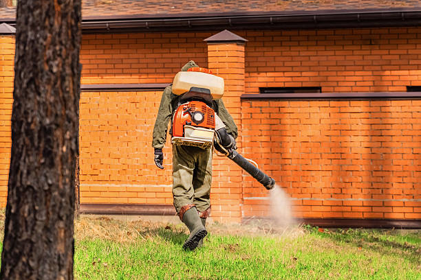 Bed Bug Clearance Verification and Documentation in Mondovi